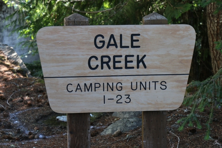 Camping in Washingtons Kachess Campground.